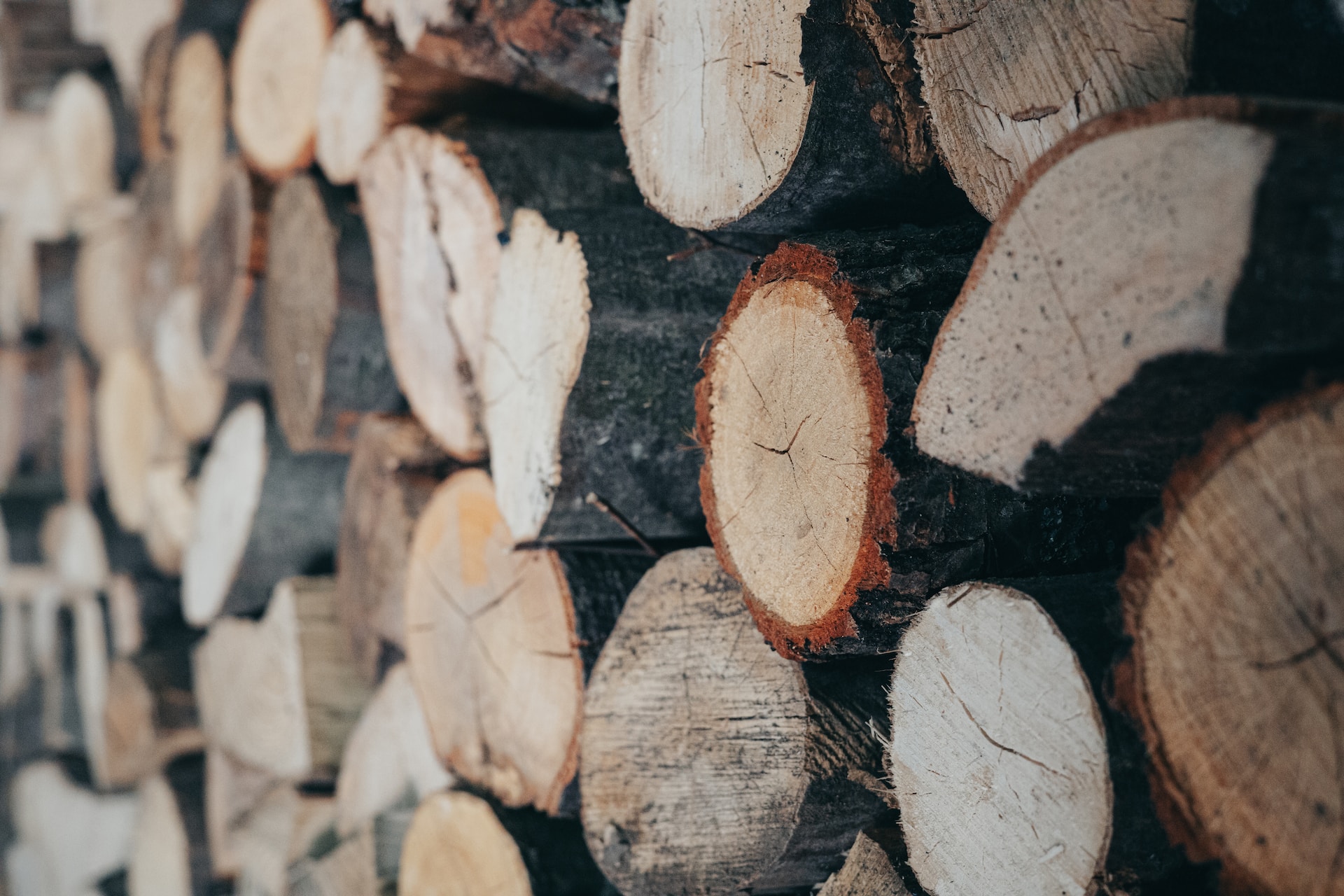 Welke houtsoort is het beste voor in de houtkachel?